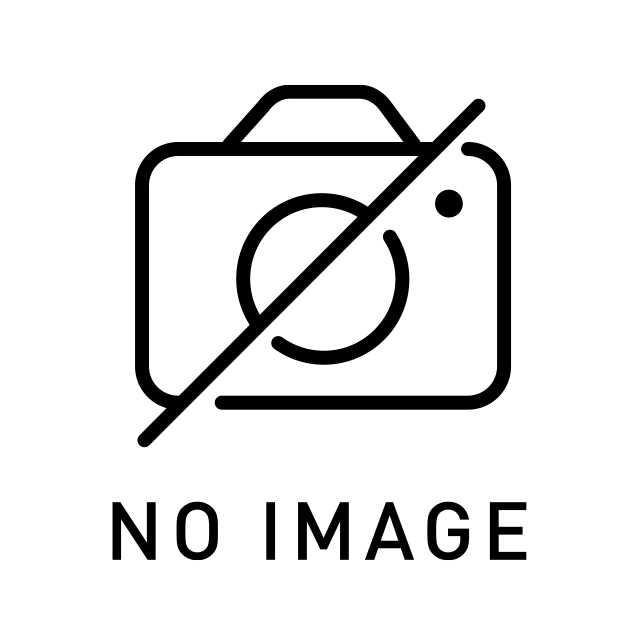 NoImage画像
